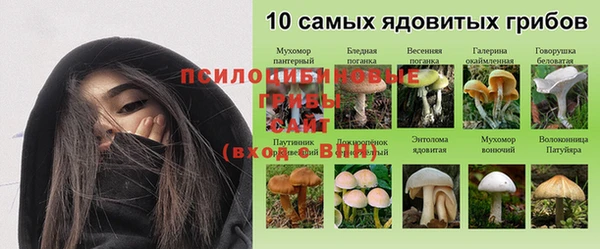 твердый Бронницы