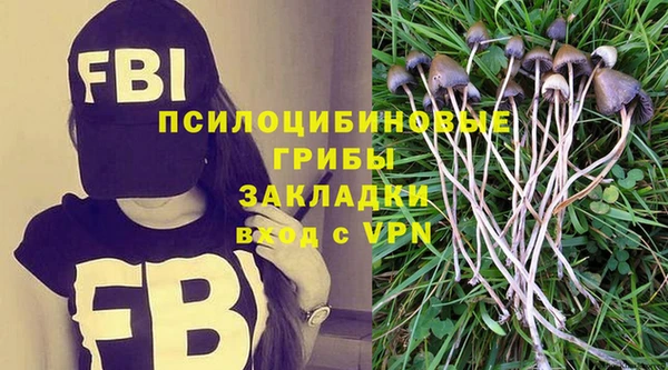 твердый Бронницы