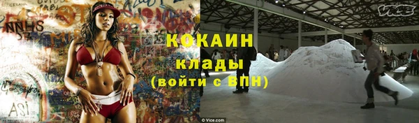 твердый Бронницы