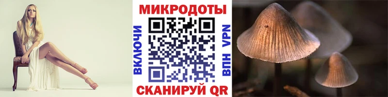 Галлюциногенные грибы мухоморы  Невель 
